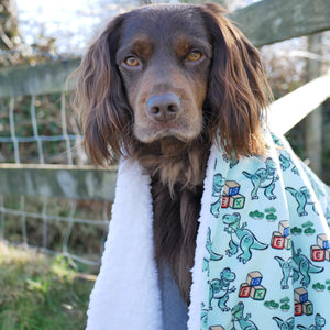 Disney© Dog Blanket - Rex