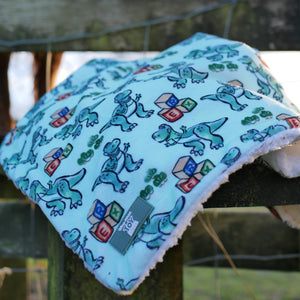 Disney© Dog Blanket - Rex