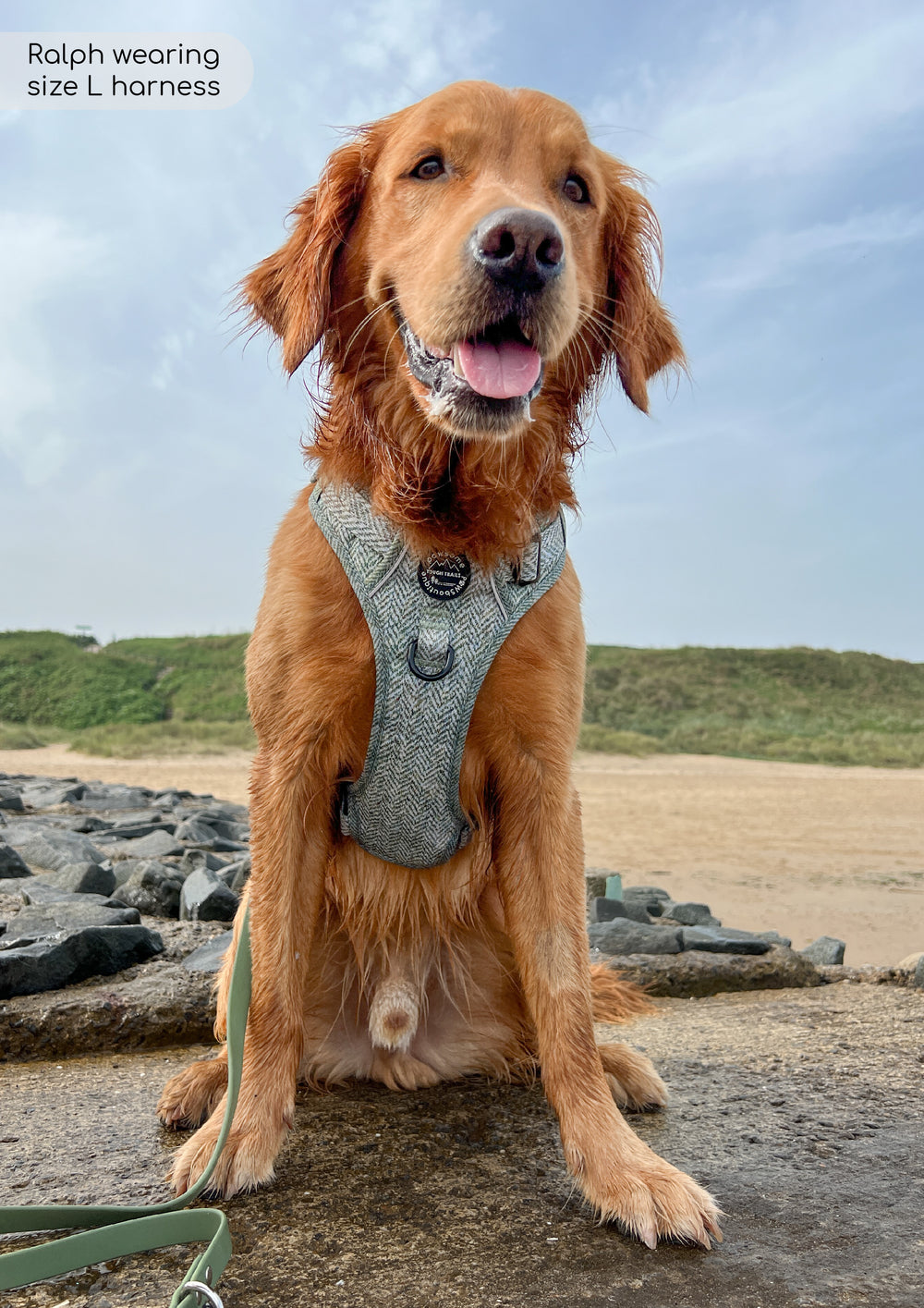 Tough Trails™ Harness - Country Thyme