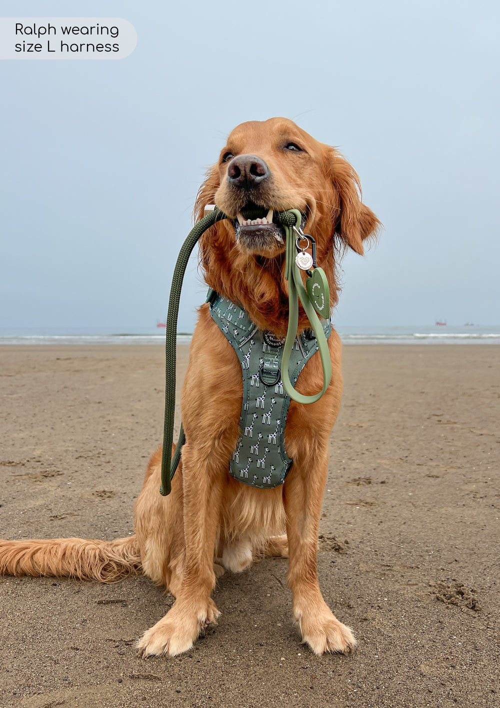 4ft Rope Lead - Khaki