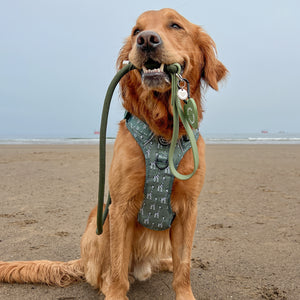 4ft Rope Lead - Khaki
