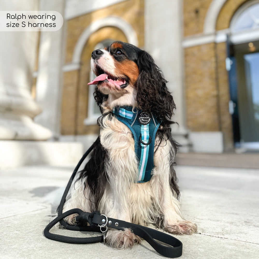 4ft Rope Lead - Black