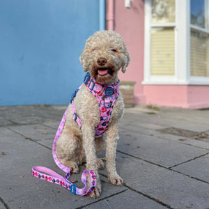 Disney© Lead - Princess