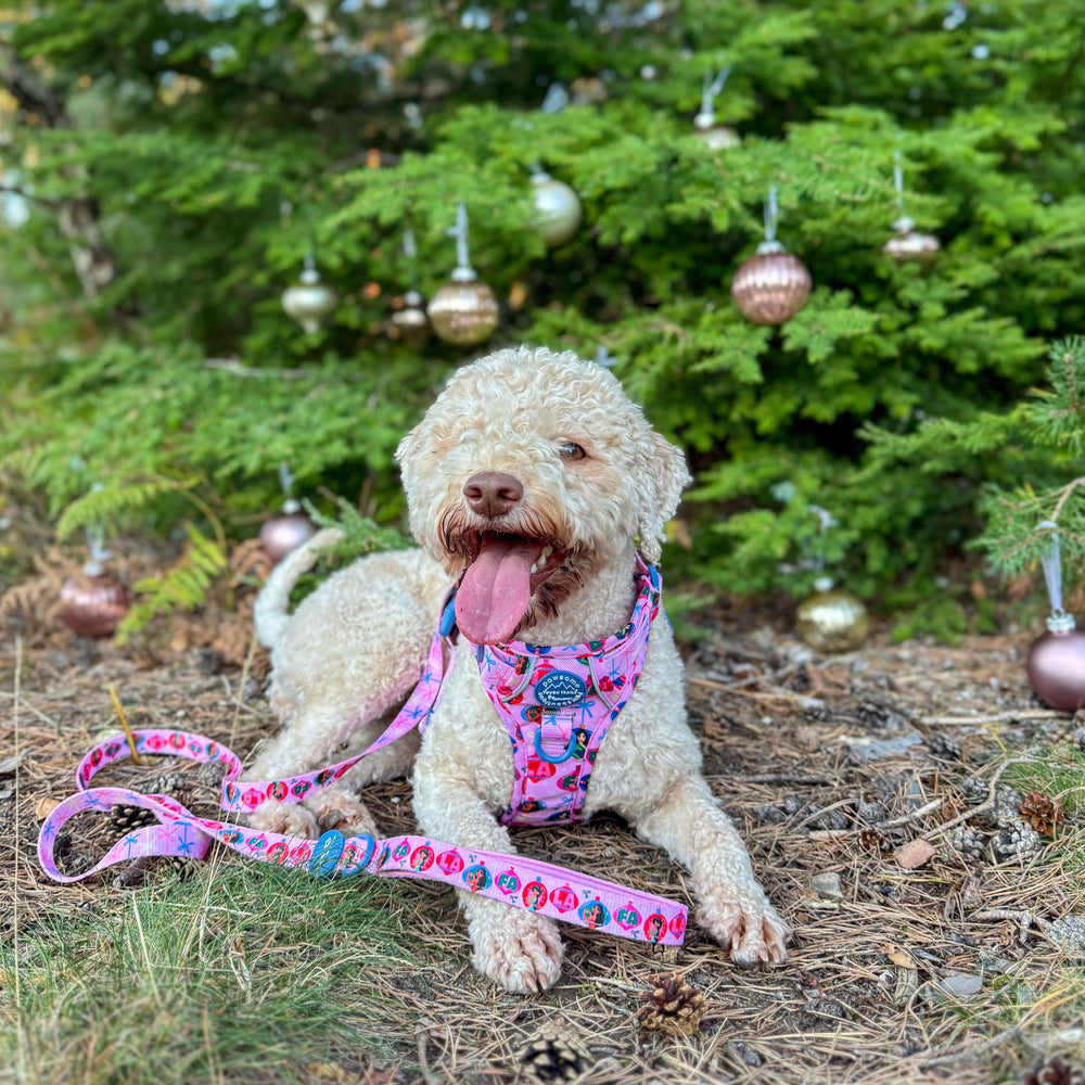 Disney© Lead - Princess