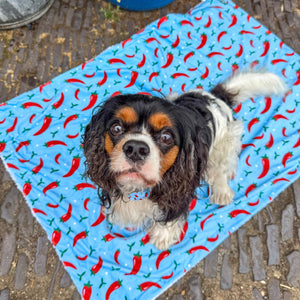 Dog Blanket - Stay Spicy