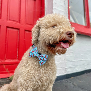 Bow Tie - Stay Spicy