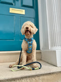 Disney© 4ft Rope Lead - Simba - Navy and Mint