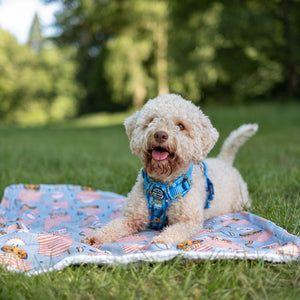 Disney© Dog Blanket - Lion Friends