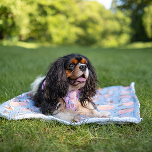 Disney© Dog Blanket - Lion Friends