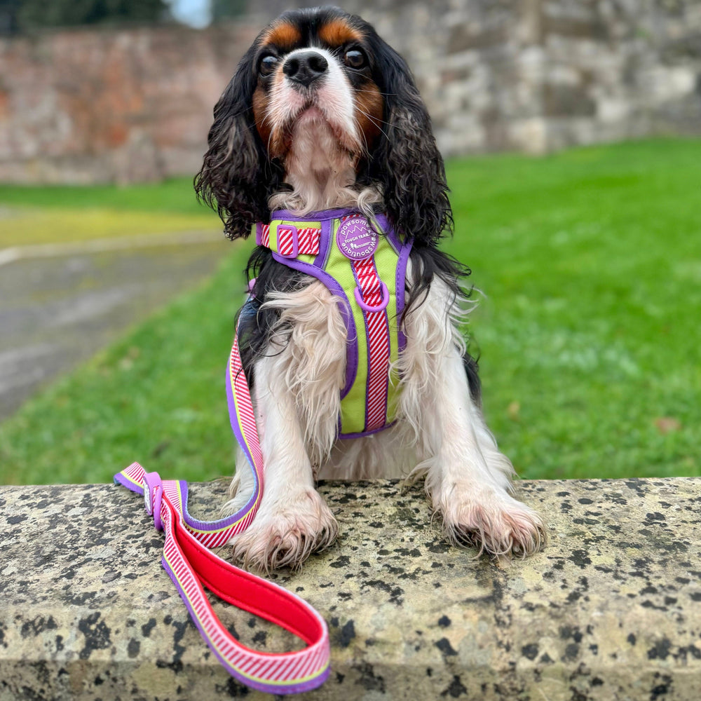 Disney© Lead - Buzz Lightyear