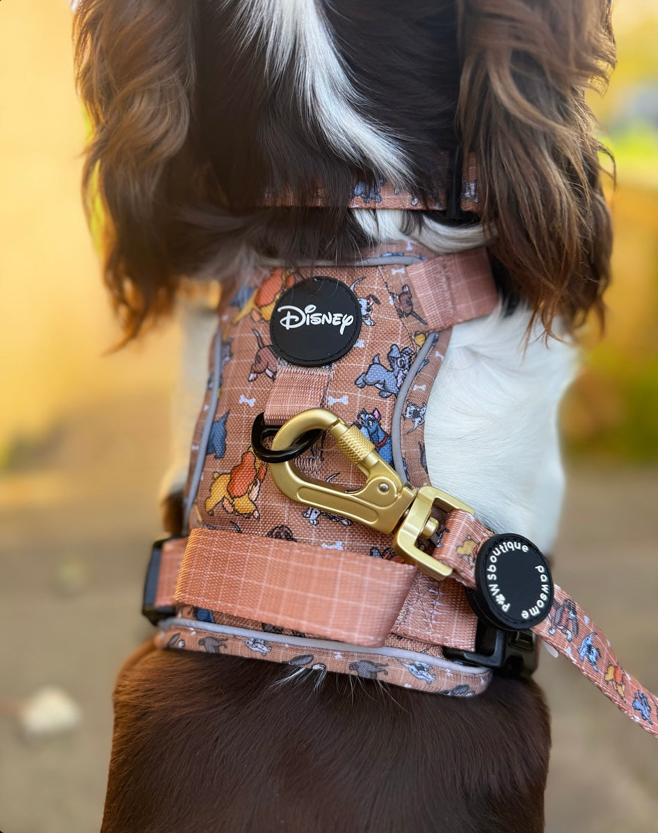 Disney© Lead - Disney Dogs