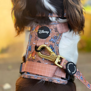 Disney© Lead - Disney Dogs