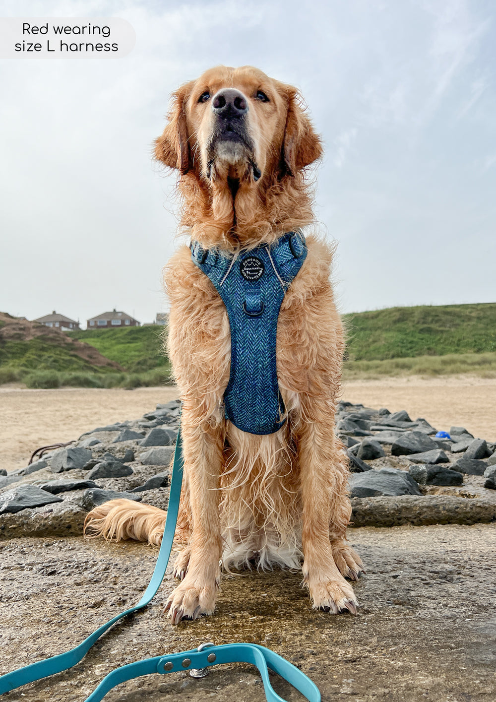 Tough Trails™ Harness - Country Teal