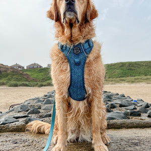 Tough Trails™ Harness - Country Teal