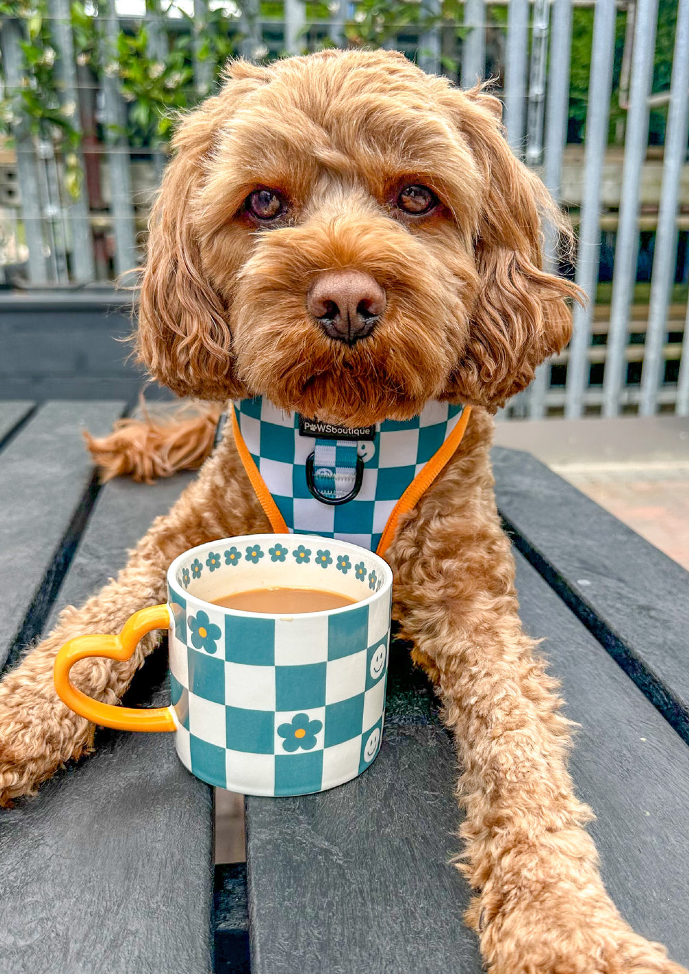 Mug - Checkerboard