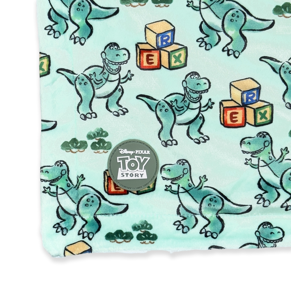Disney© Dog Blanket - Rex (New)