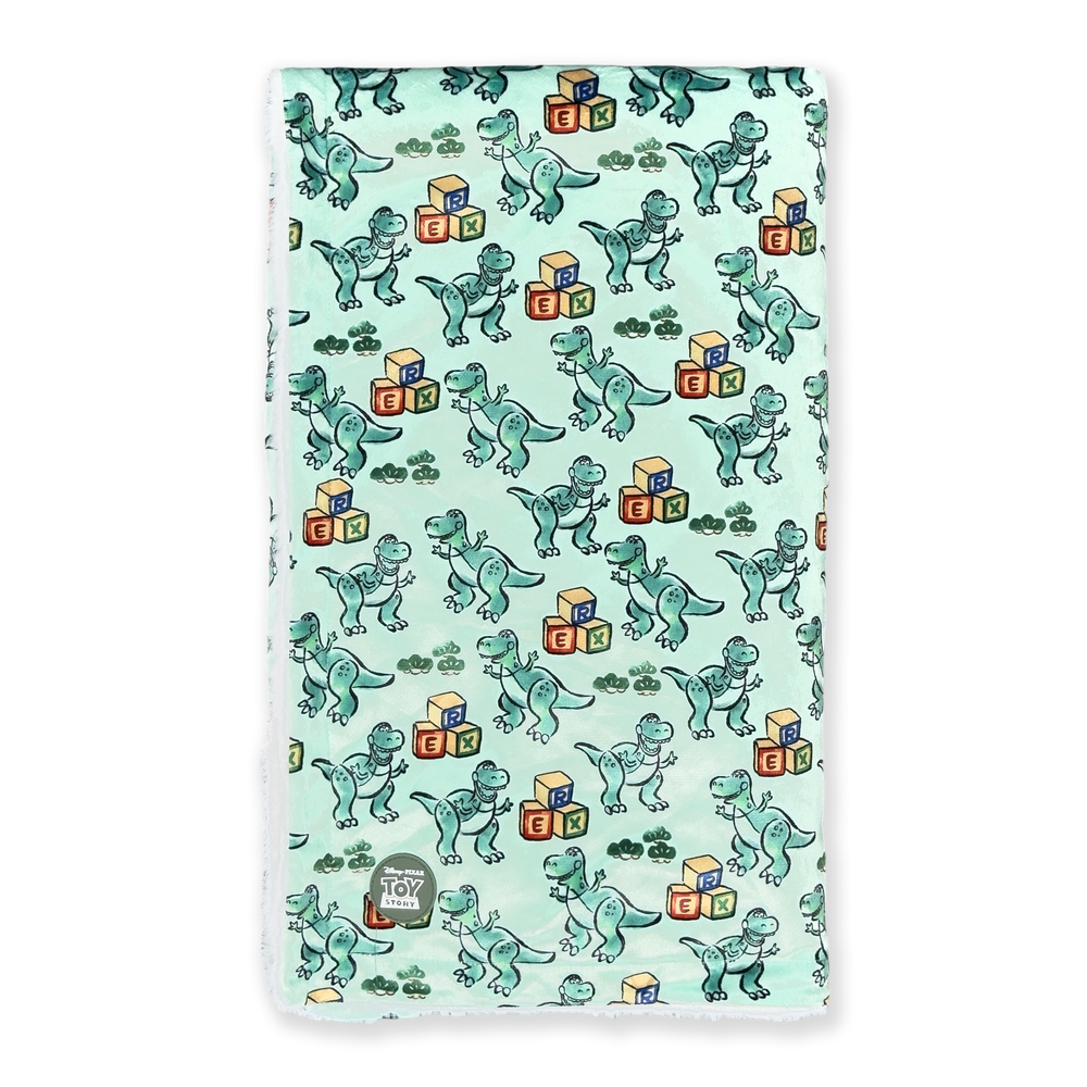 Disney© Dog Blanket - Rex (New)