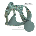 Disney© Tough Trails™ Harness - Rex