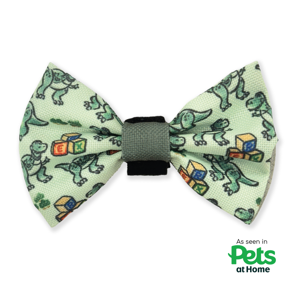 Disney© Bow Tie - Rex