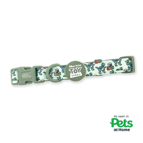 Disney© Collar - Rex