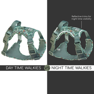 Disney© Tough Trails™ Harness - Rex