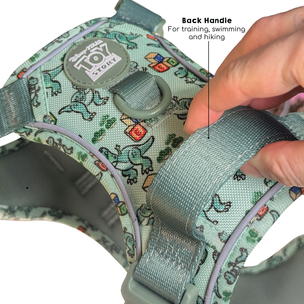 Disney© Tough Trails™ Harness - Rex