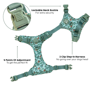 Disney© Tough Trails™ Harness - Rex