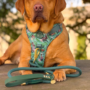 Disney© 4ft Rope Lead - Jungle Book