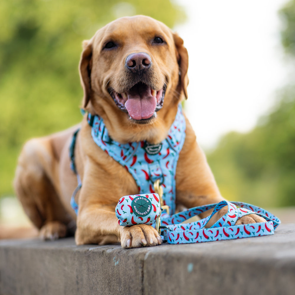 Poo Bag Holder - Stay Spicy