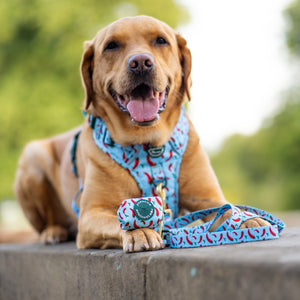 Poo Bag Holder - Stay Spicy