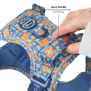 Tough Trails™ Harness -  Rise & Shine
