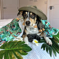 Disney© Dog Blanket - Jungle Book