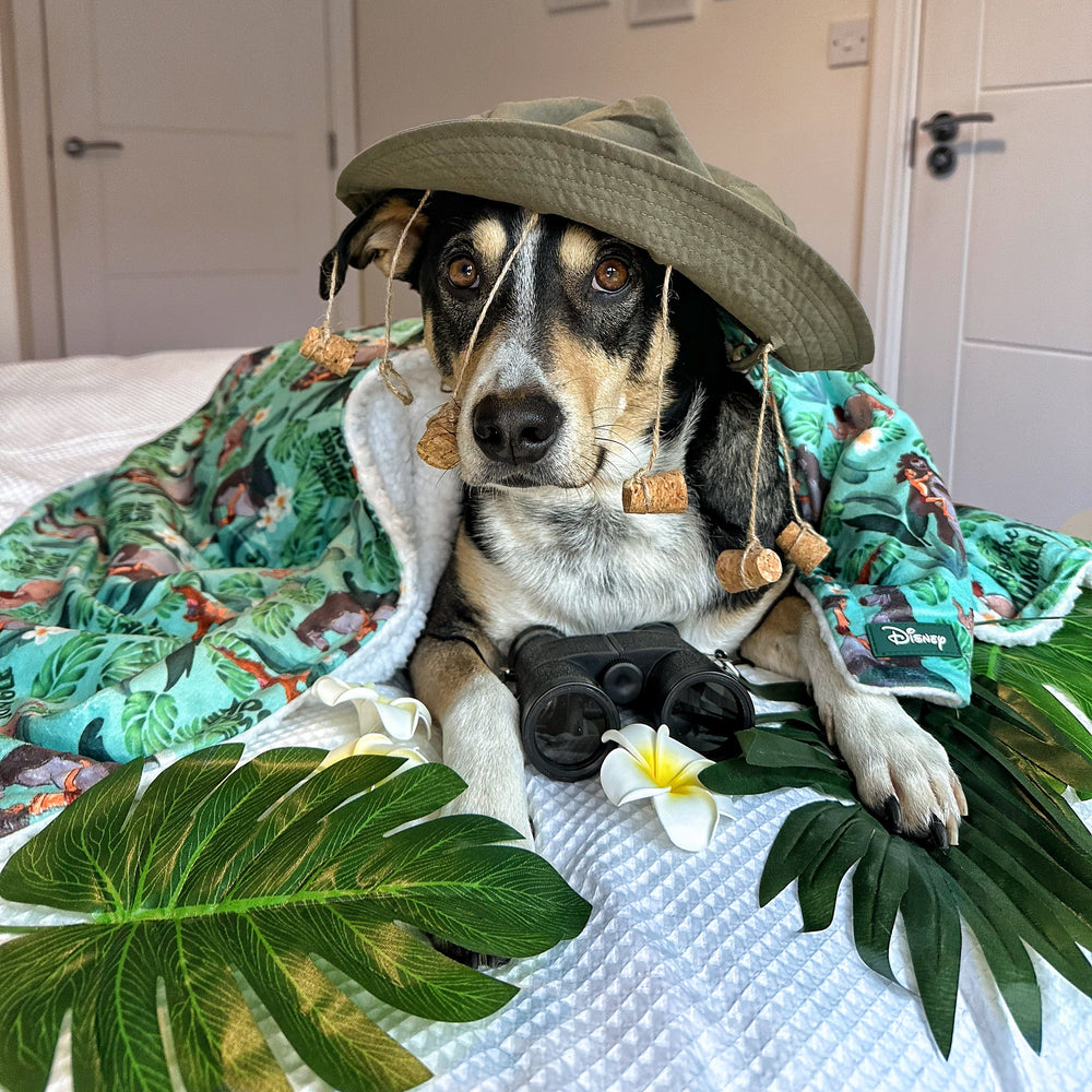 Disney© Dog Blanket - Jungle Book
