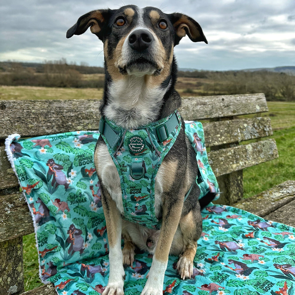 Disney© Dog Blanket - Jungle Book
