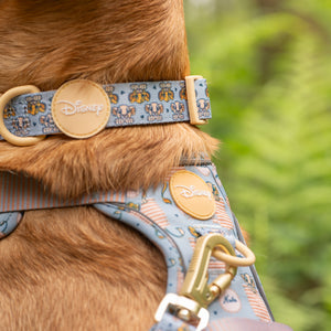Disney© Collar - Lion Friends