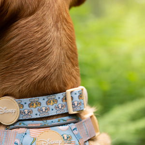 Disney© Collar - Lion Friends