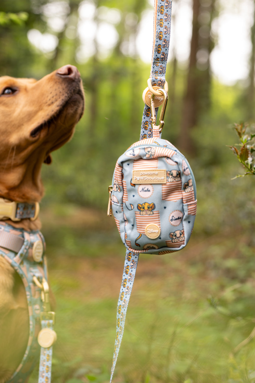 Disney© Treat + Go Bag - Lion Friends