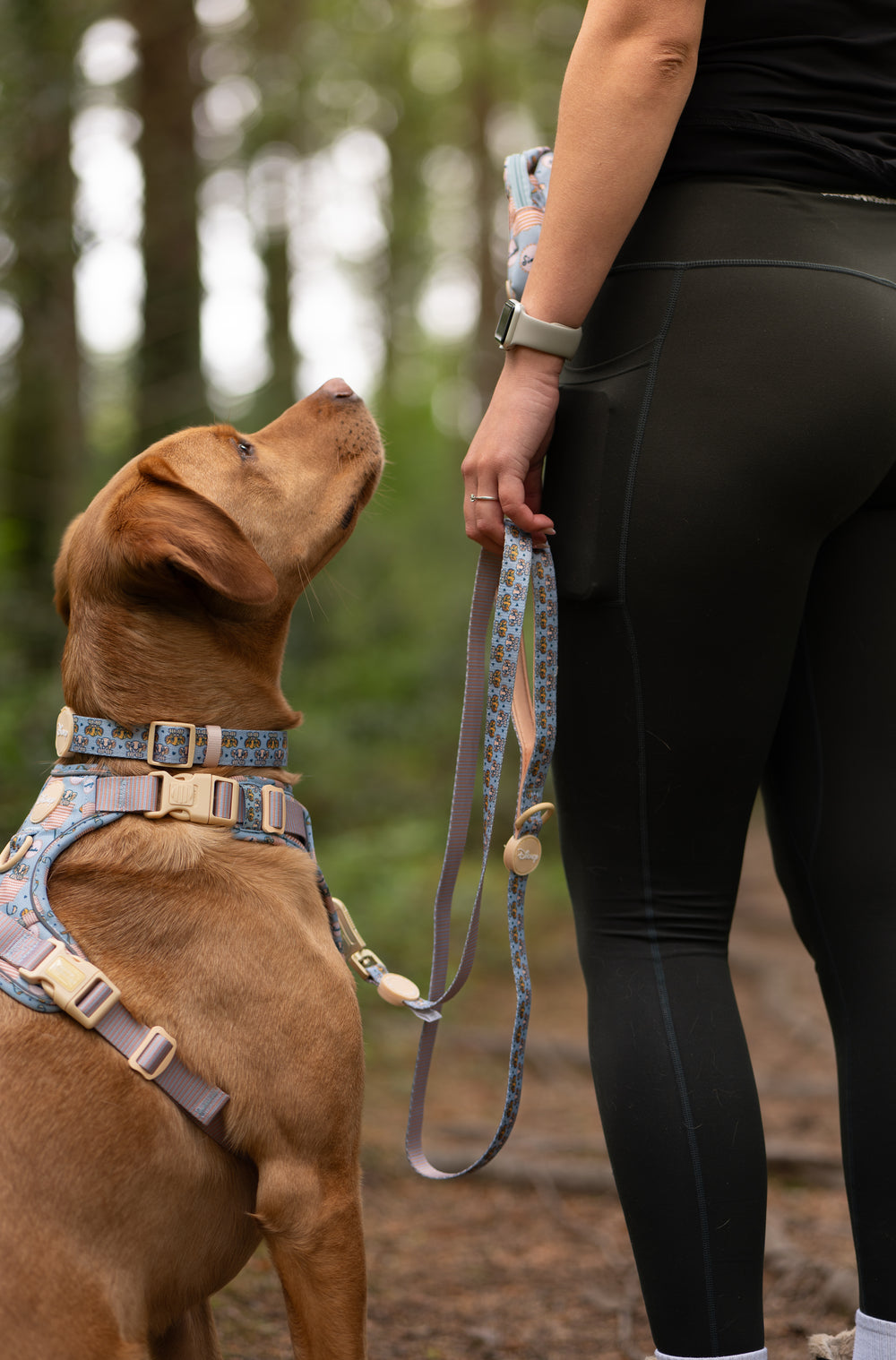 Disney© Lead - Lion Friends