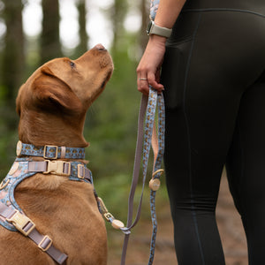 Disney© Lead - Lion Friends