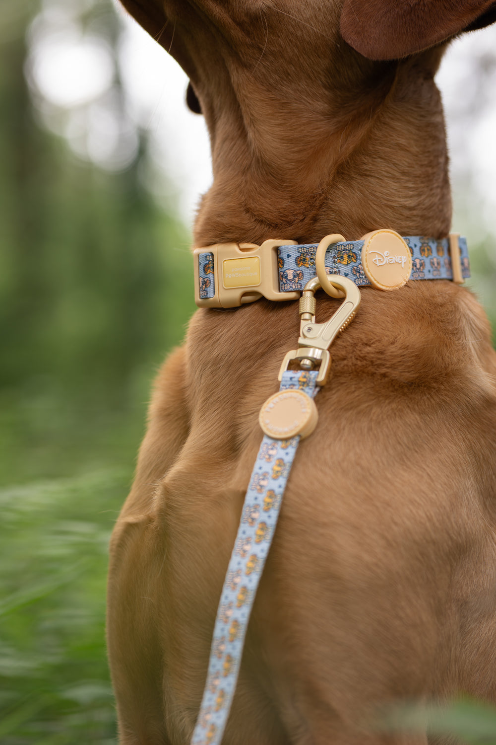 Disney© Lead - Lion Friends