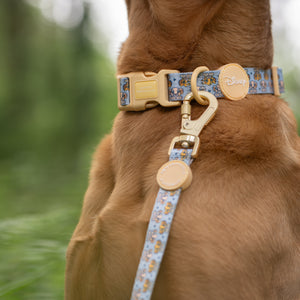 Disney© Lead - Lion Friends