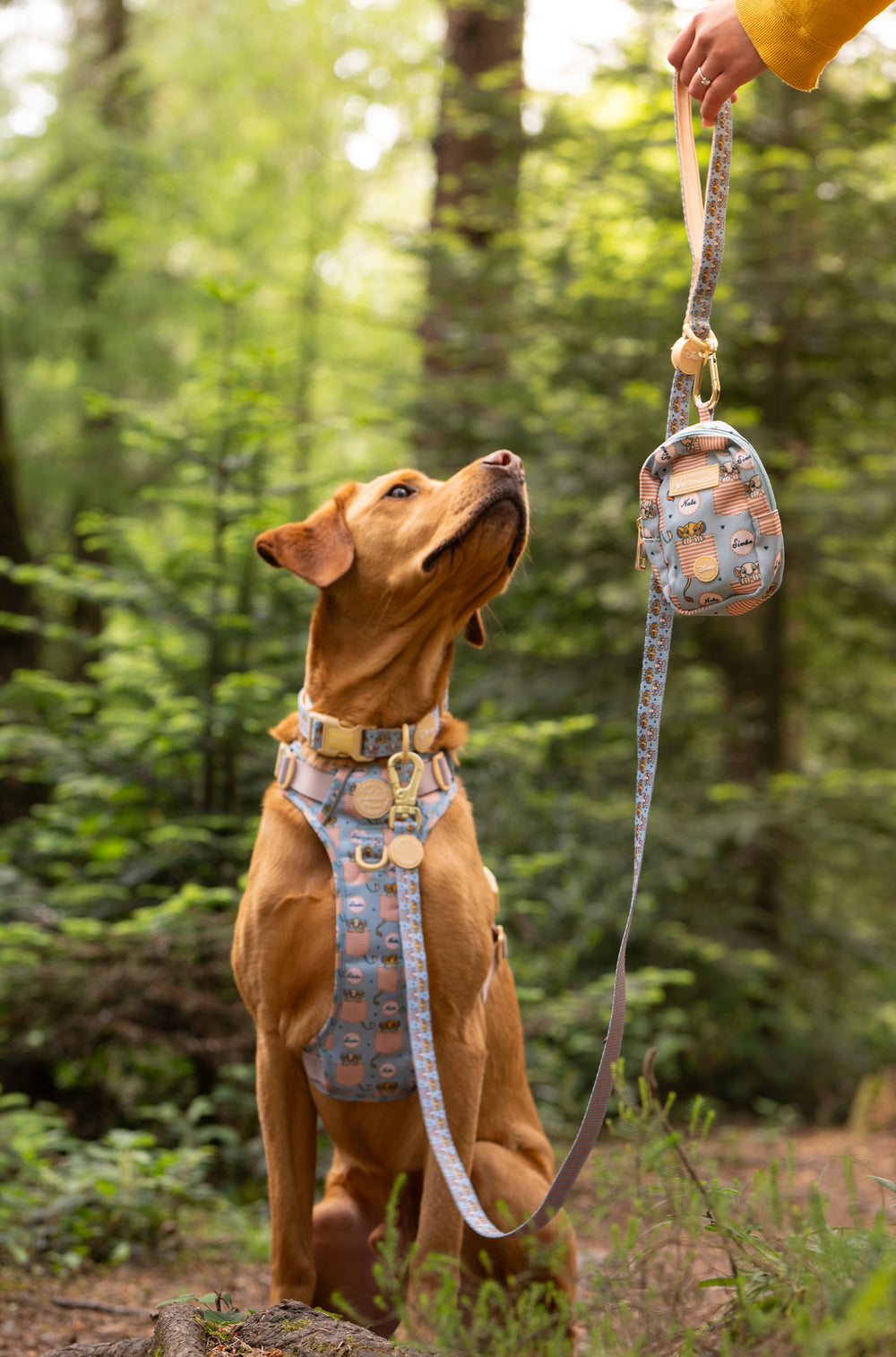 Disney© Treat + Go Bag - Lion Friends