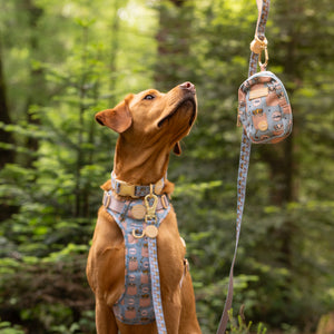 Disney© Treat + Go Bag - Lion Friends