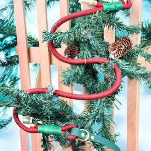 4ft Rope Lead - Red + Green