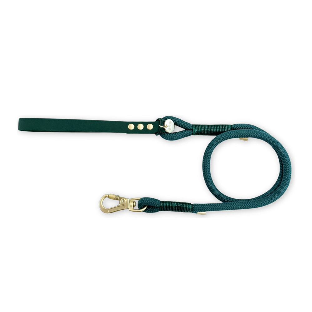 Disney© 4ft Rope Lead - Jungle Book