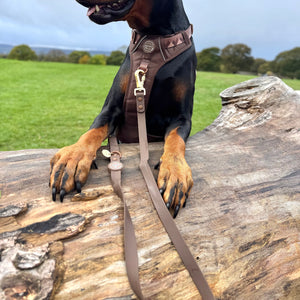 4ft Waterproof Lead - Walkies Ready® Chocolate Brown