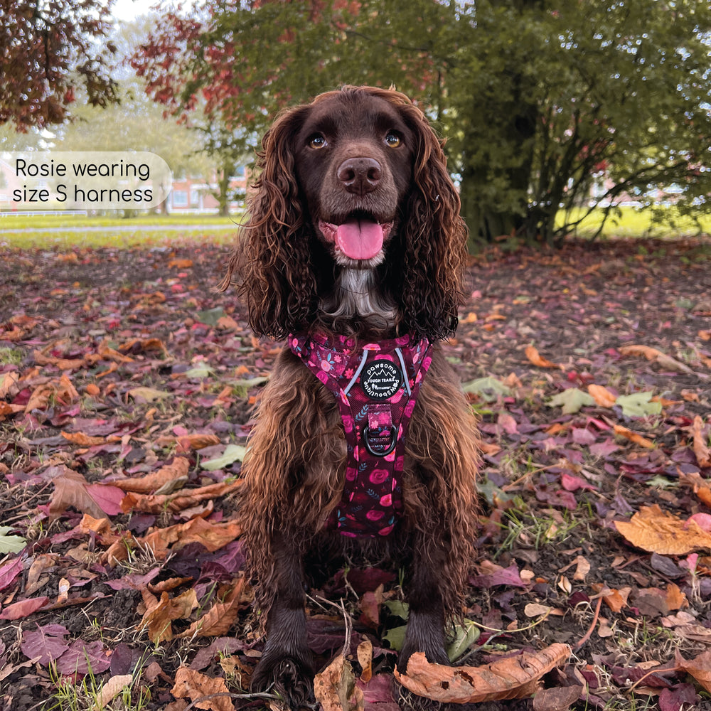 Tough Trails™ Harness - Mable's Meadow