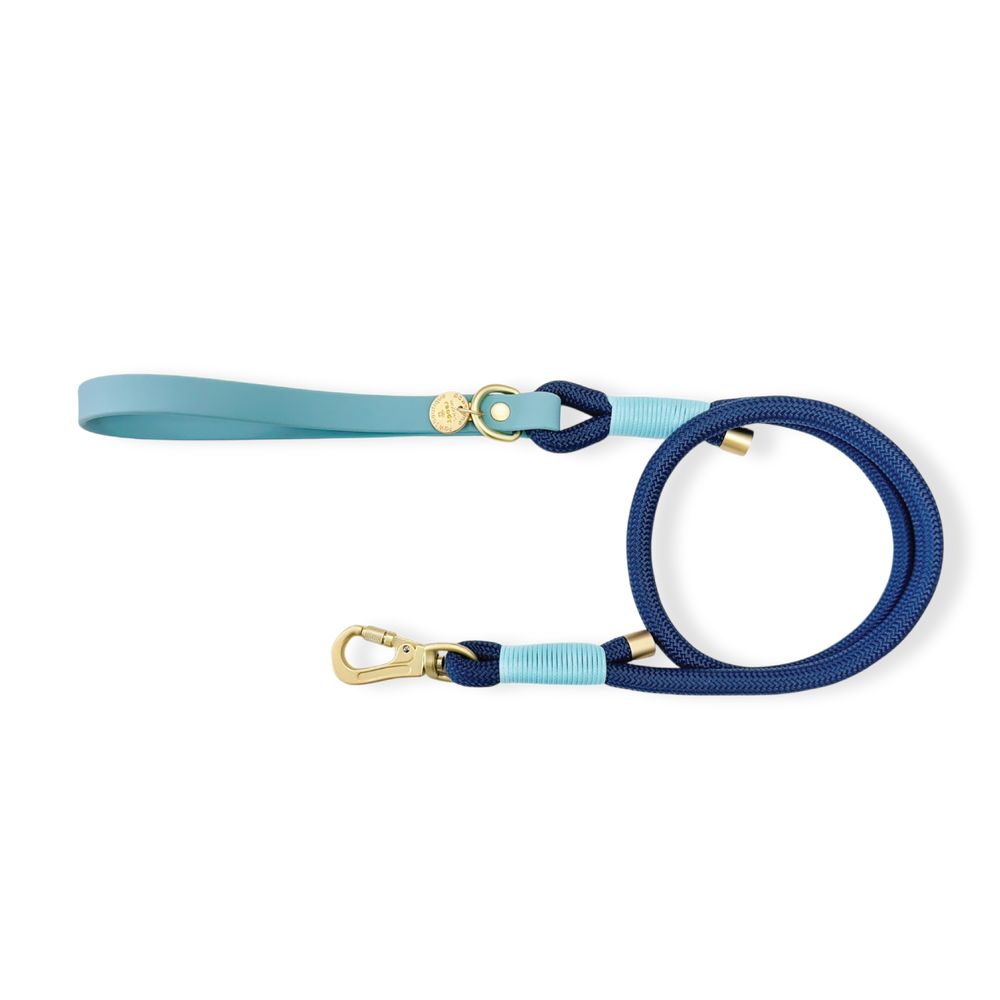 4ft Rope Lead - Royal Blue