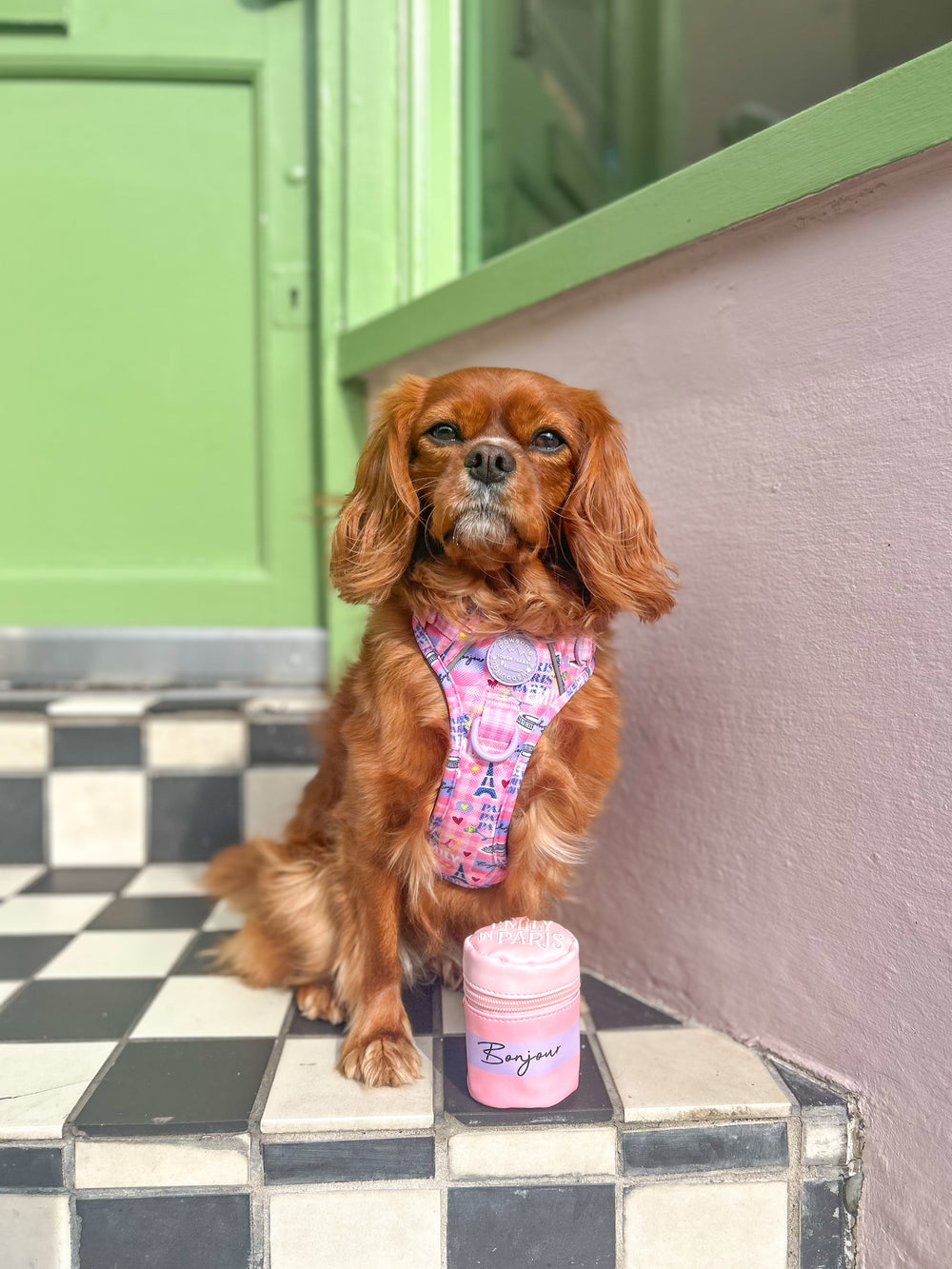 Bonjour Treat Pouch - Emily In Paris