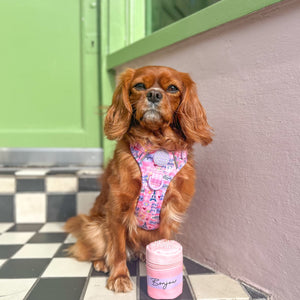 Bonjour Treat Pouch - Emily In Paris